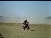 PICT0115 -B.Birbes.JPG