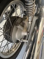 IMG_5559.jpeg