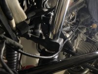 IMG_7484.jpeg