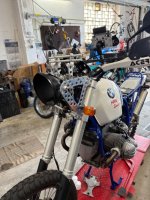 IMG_7721.jpeg