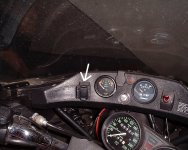 IMG_8595.jpeg