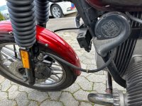 IMG_4951.jpeg