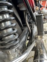 IMG_4950.jpeg