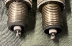 IMG_5719.jpeg