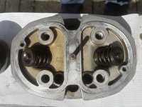 IMG_8618.jpeg