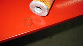 IMG_0006 (Large).JPG