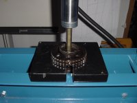 DSC00774.jpg