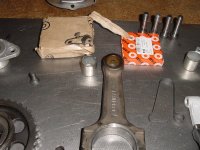 DSC00784.jpg