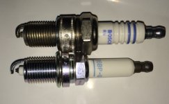 IMG_0428.jpeg