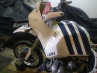 IMG_20250310_201344.jpg