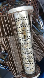 IMG_8866.jpeg