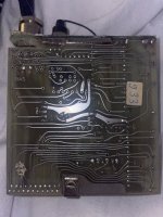 IMG_2991.jpeg