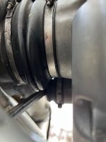 IMG_3524.jpeg