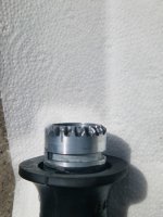 20250712_2m.jpg