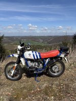 IMG_7953.jpeg