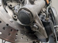 PXL_20250718_174833754.RAW-01.COVER.jpg