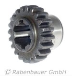 Zahnrad Ritzel HAG 50 5.jpg