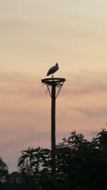 IMG_3125.jpeg