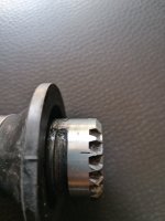 IMG_20250803_133238.jpg