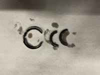 IMG_6247.jpeg