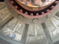 IMG_1901.jpeg