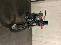 IMG_0377.jpeg