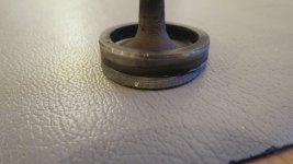 IMG_4390.JPG
