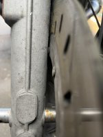 IMG_3888.jpeg