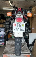 29092025_Bild23.JPG 29092025_Bild23.JPG