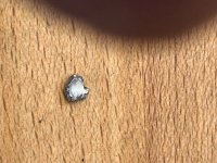 IMG_4139.jpeg