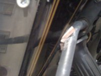 Foto1.jpg