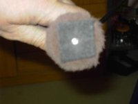 Flies im Dremel.JPG