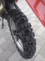 IMG_20251012_093458.jpg