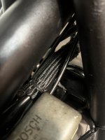 IMG_2099.jpeg
