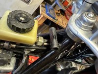 IMG_8749.jpeg IMG_8749.jpeg