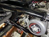 IMG_7498.JPG IMG_7498.JPG