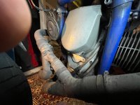 IMG_8019.jpeg IMG_8019.jpeg