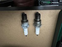 IMG_7147.jpeg IMG_7147.jpeg