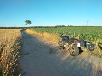 IMG_20250701_201015_HDR1.jpg IMG_20250701_201015_HDR1.jpg