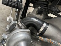 IMG_7176.jpeg IMG_7176.jpeg