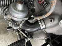 IMG_7175.jpeg IMG_7175.jpeg