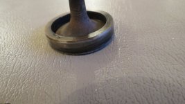 IMG_4392.JPG IMG_4392.JPG