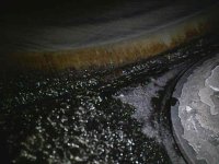 Photo_2025-12-06 10_58_01_047.JPG