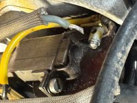 IMG_1331.jpeg IMG_1331.jpeg