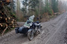 BMW R80 weihnachtsbaum3.jpg BMW R80 weihnachtsbaum3.jpg