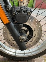 IMG_1268.jpeg IMG_1268.jpeg