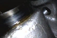 IMG_0150.jpeg IMG_0150.jpeg