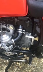 IMG_6803.jpeg IMG_6803.jpeg