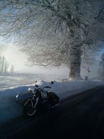 DSC00038.JPG DSC00038.JPG