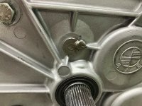 IMG_4858.jpeg IMG_4858.jpeg